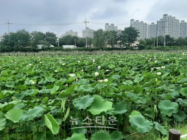 인천 남동구 갯골2호 수변공원 (출처:남동구청 블로그)