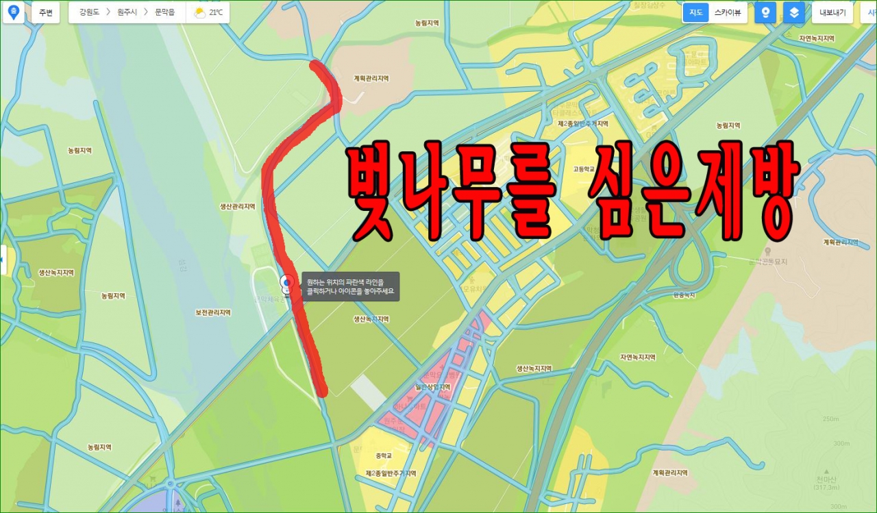 벚나무를 심은후 3개월뒤 제방이 파헤쳐진 사진
