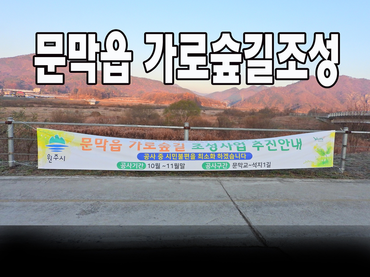 벚나무를 심은후 3개월뒤 제방이 파헤쳐진 사진