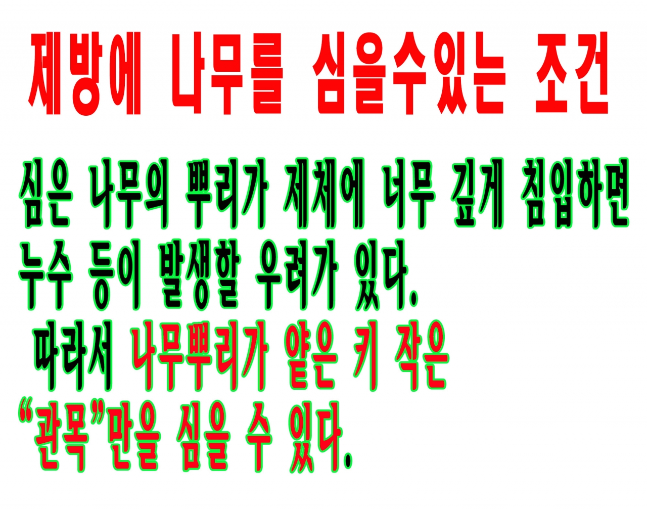 국토부의 나무심기기준과 관목과 교목등 기사관련 사항