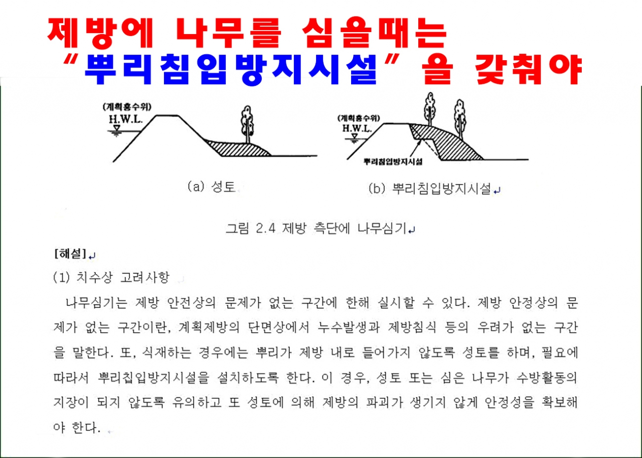 국토부의 나무심기기준과 관목과 교목등 기사관련 사항