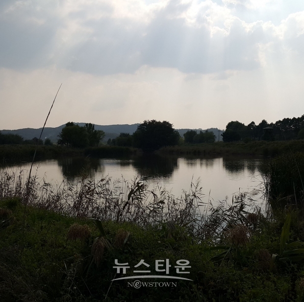 비봉습지공원 (비봉습지공원 SNS)