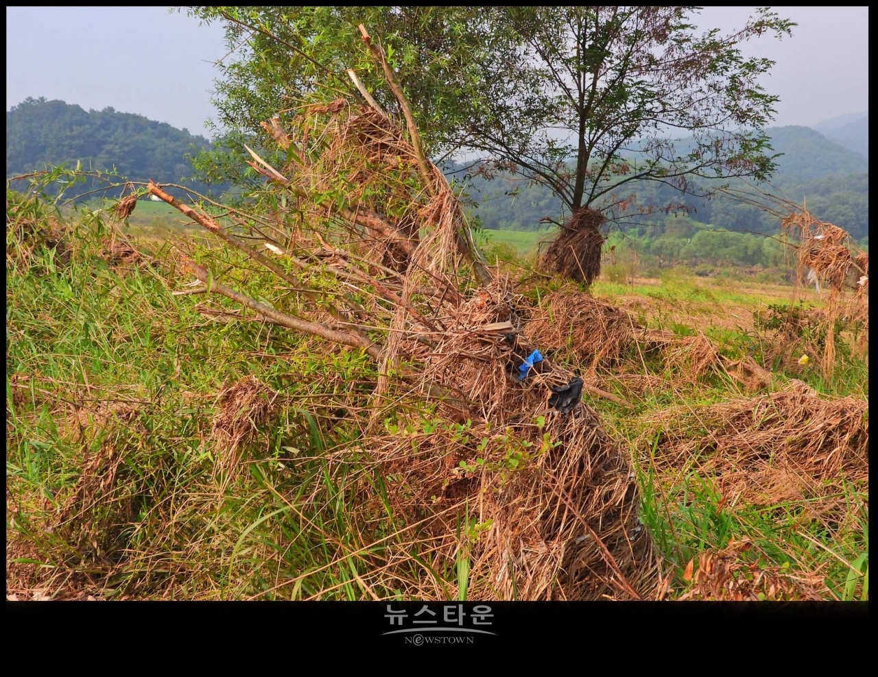 원주섬강 장마가 지나간 후 장면