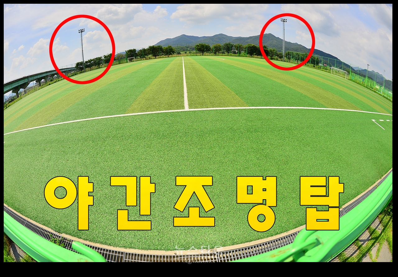고수부지에 대형야간조명탑설치 불법인가? 적법한가