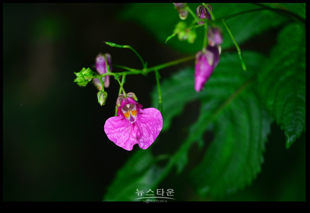 105mm로 본 세상