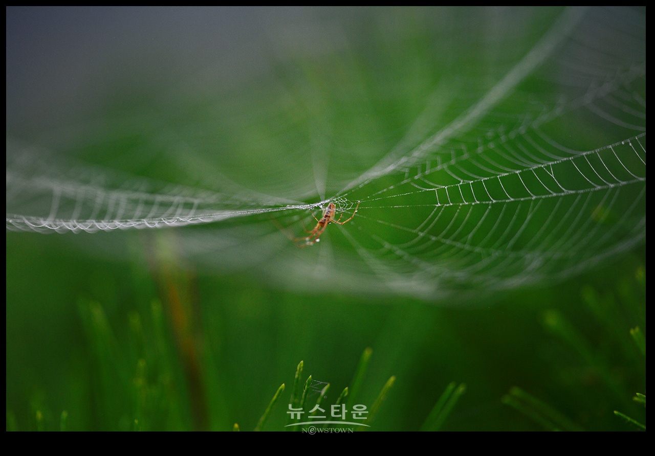 105mm로 찍어본 사진