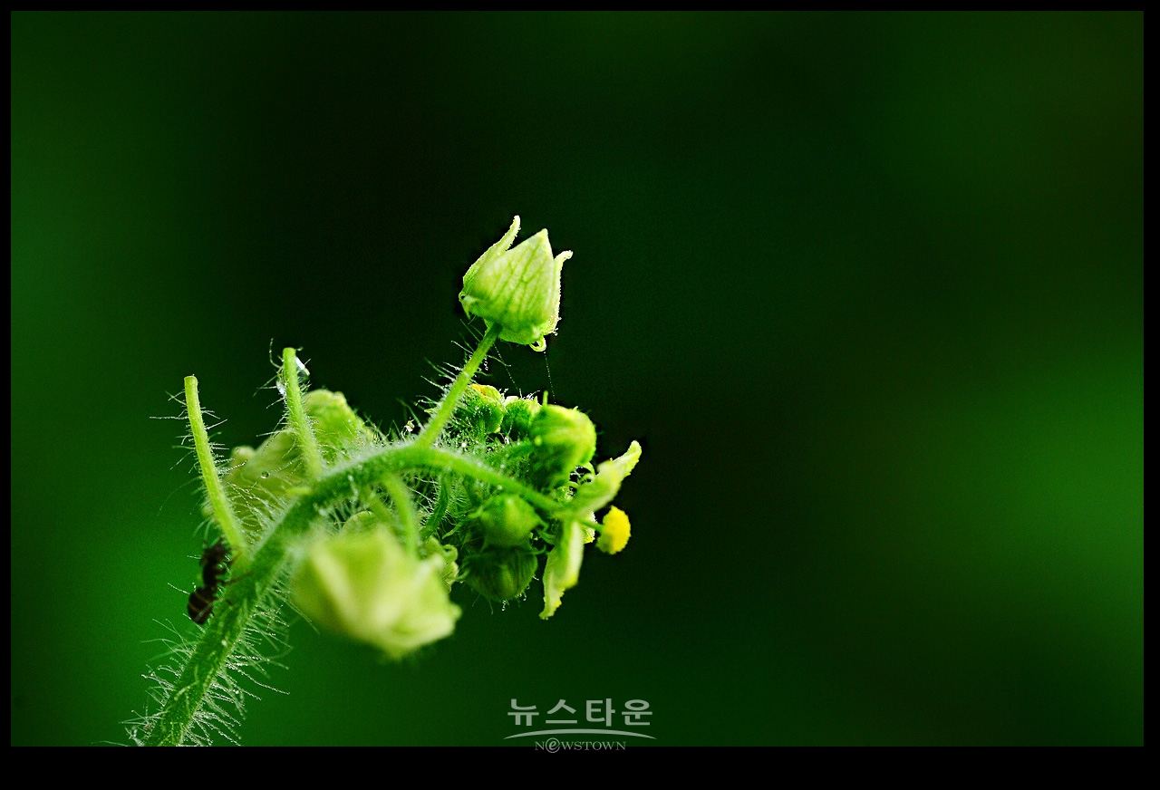 105mm로 찍어본 사진