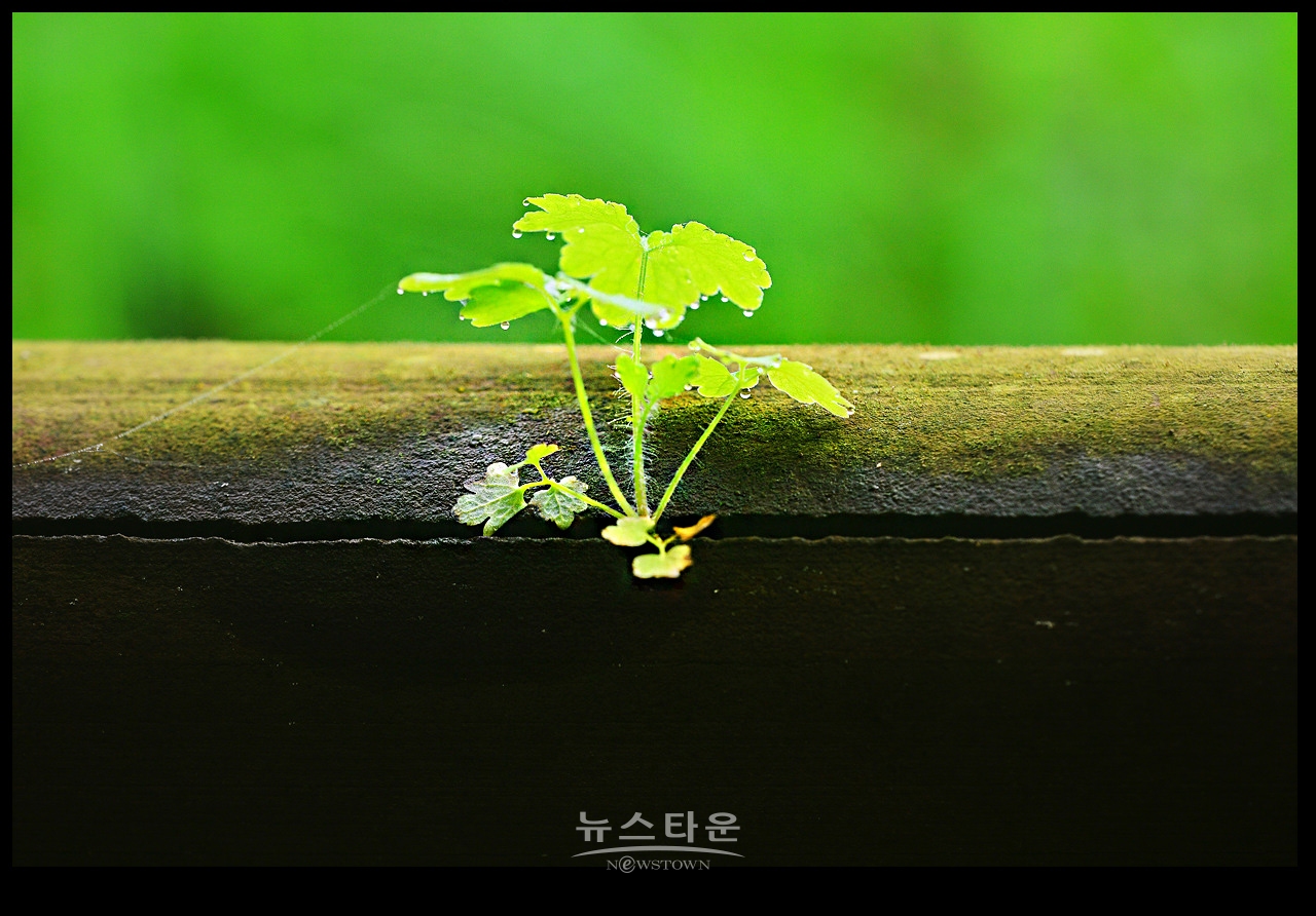 105mm로 찍어본 사진