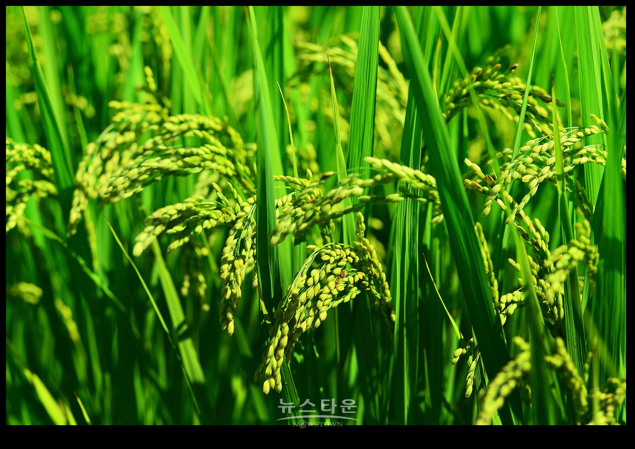 105mm로 찍어본 사진