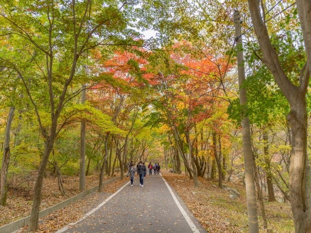 마니산 입구 전경