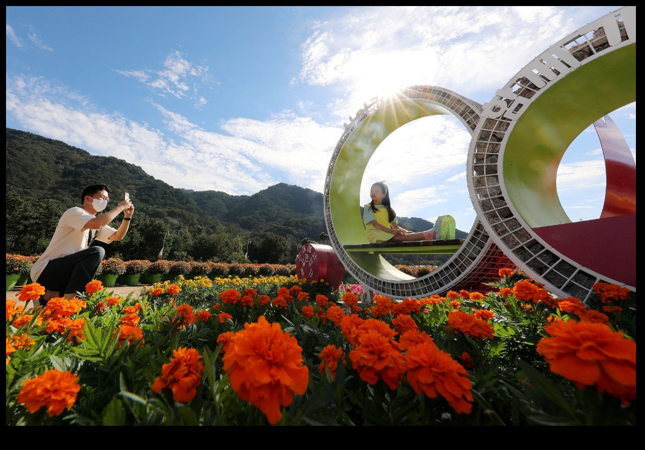 인제 가을 꽃축제 현장