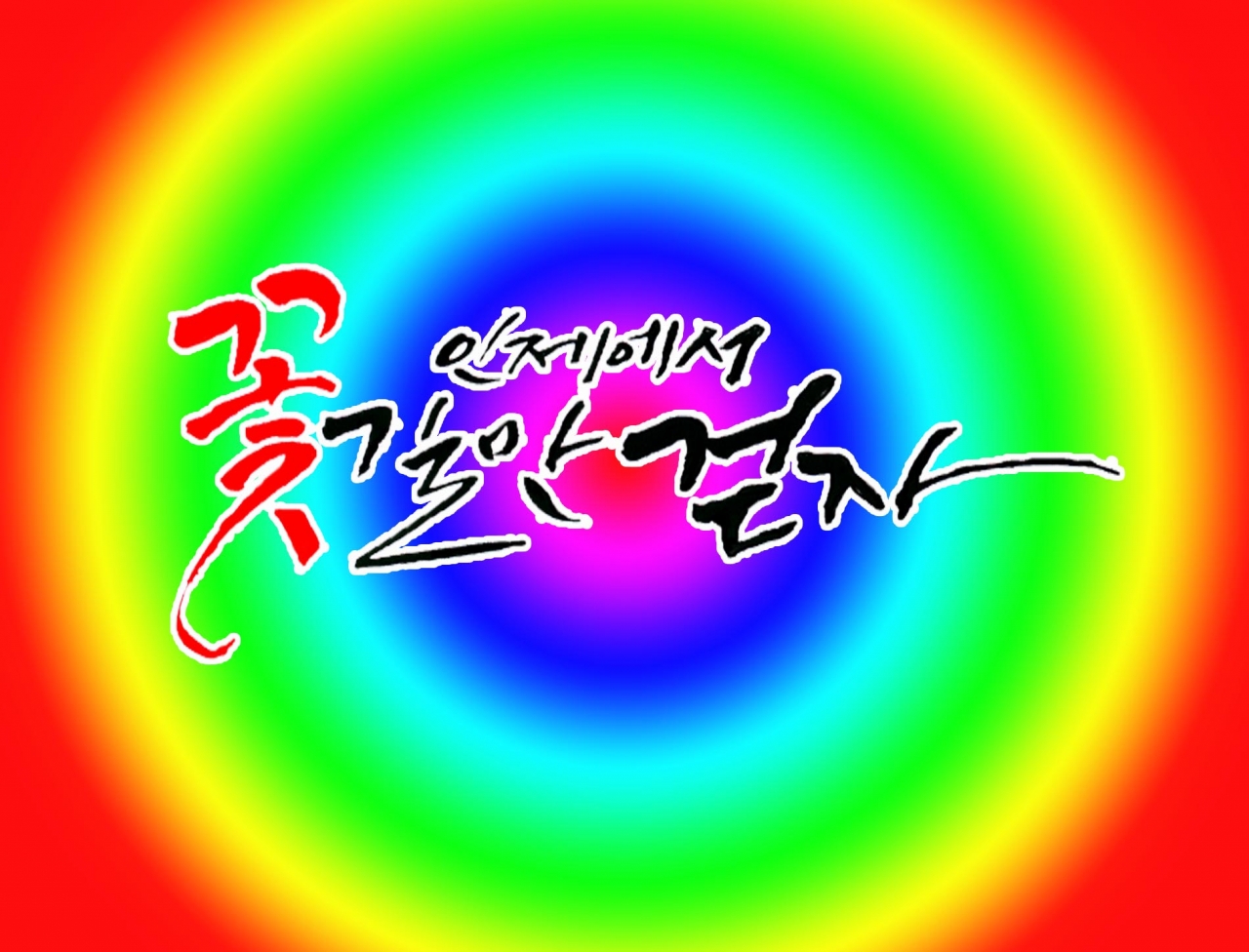 인제 가을 꽃축제 현장