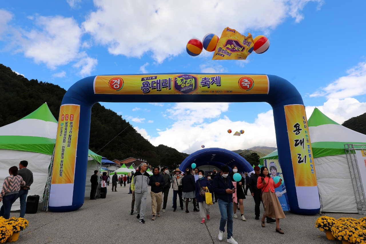 인제 용대리황태축제