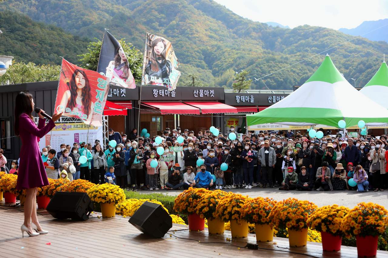 인제 용대리황태축제