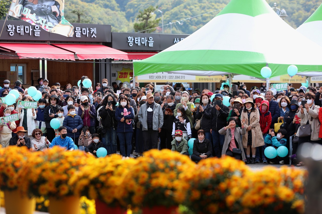인제 용대리황태축제