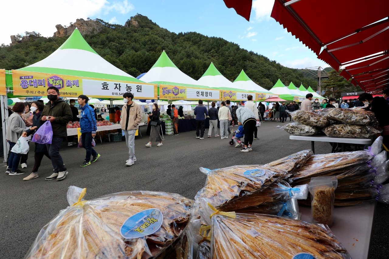 인제 용대리황태축제