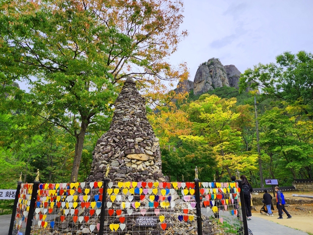 청송 주황산