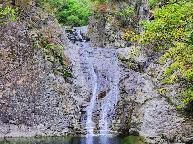 청송 주황산