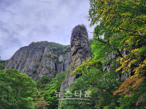 청송 주황산