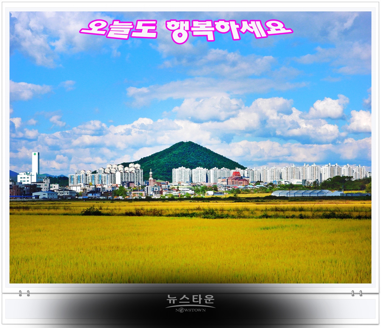 문막읍 파란하늘과 황금들판