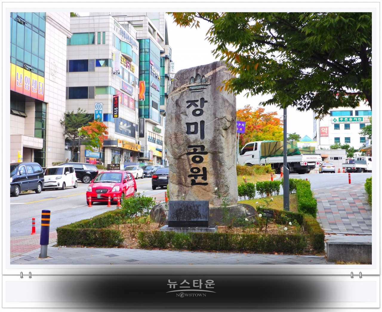단계동 장미공원에서