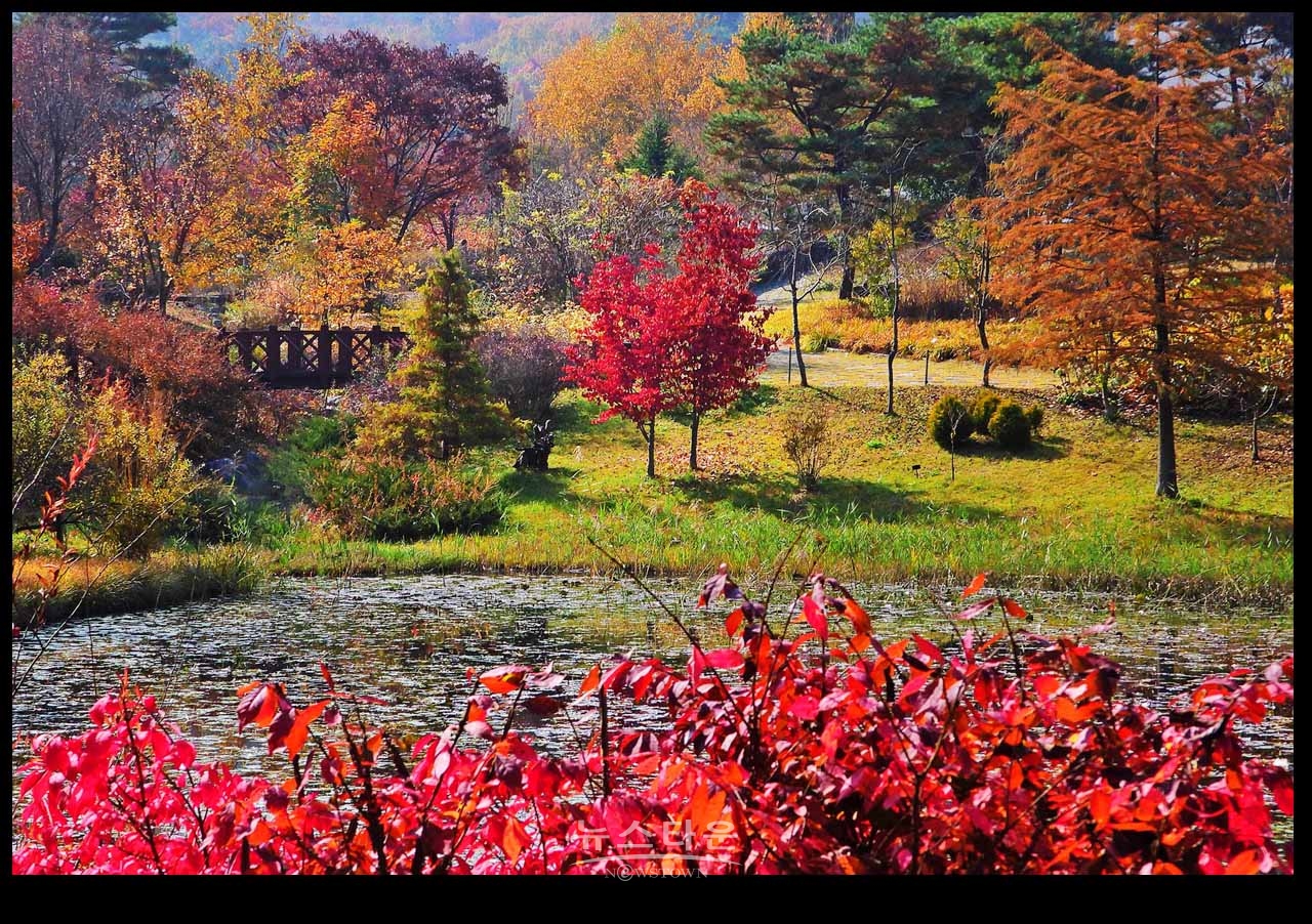 여주 황학산수목원의 가을단풍과 아름다운 이미지