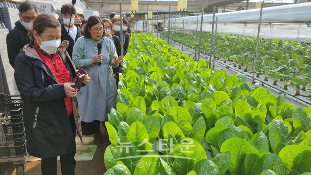 강원도 춘천시 소재 스마트팜 수경재배 농가 견학