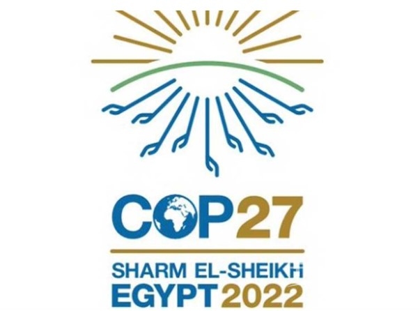 COP27 로고 / 사진 : COP27 이집트 홈페이지 캡처