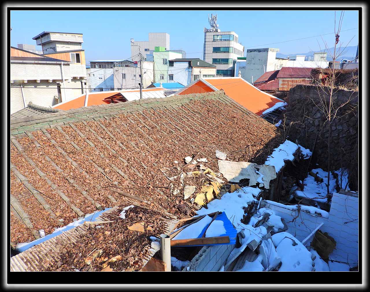 원주시 학성동의 풍경