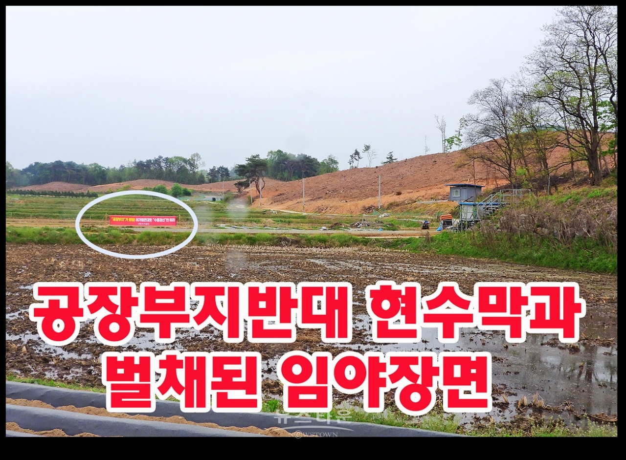 공장부지가 웬 말! 수종갱신만하라!