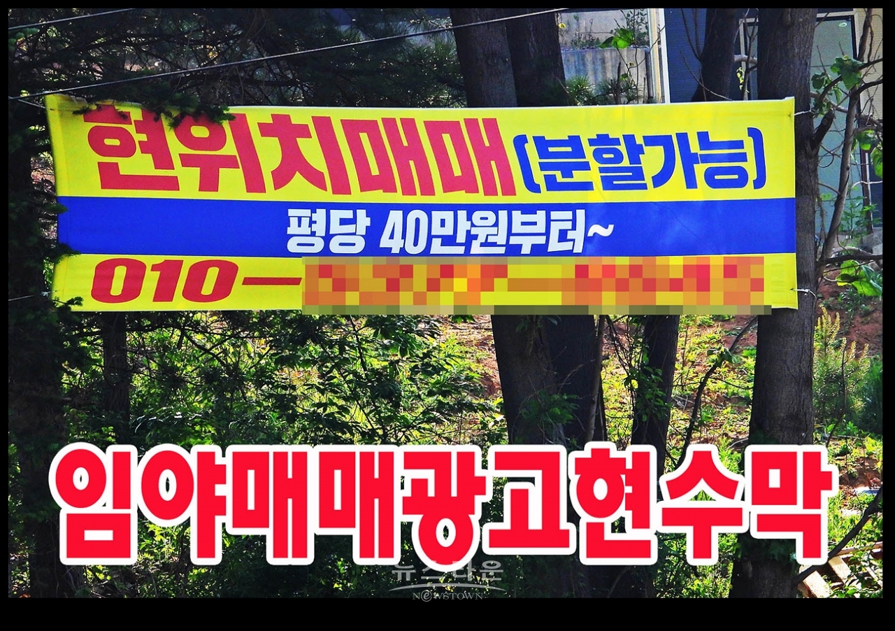 공장부지가 웬 말! 수종갱신만하라!