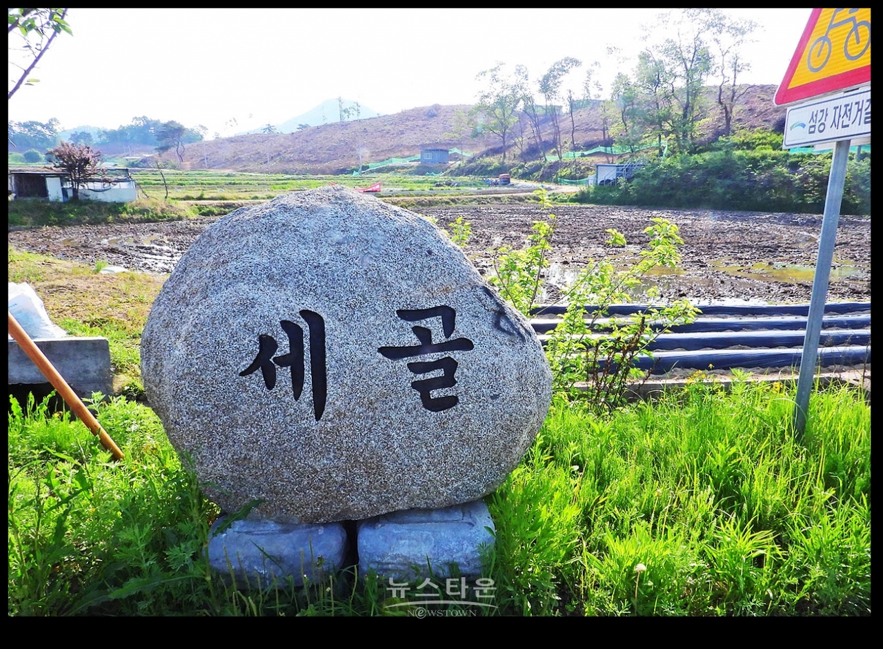 공장부지가 웬 말! 수종갱신만하라!