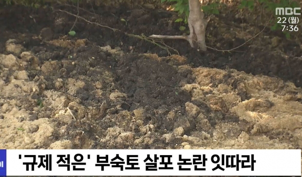 대전MBC뉴스 영상 캡처