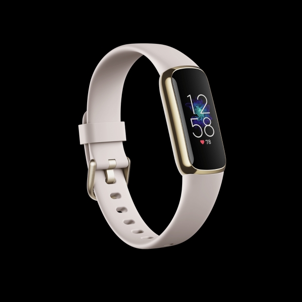 핏빗 활동량 트래커 제품사진 / fitbit 홈페이지