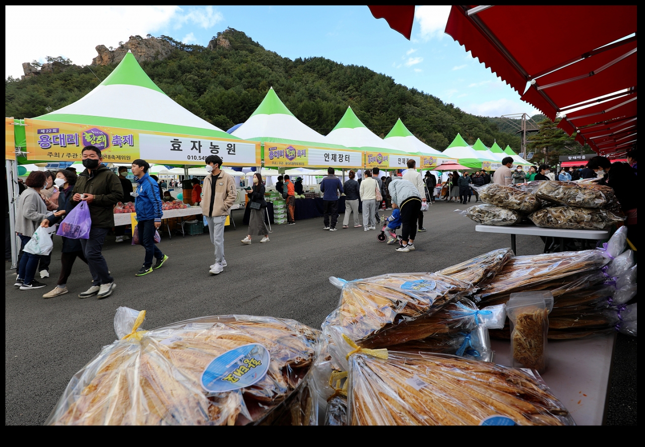 인제황태축제 전년도 행사사진