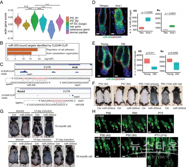 해당 연구지 내용 발췌 / 출처: PNAS