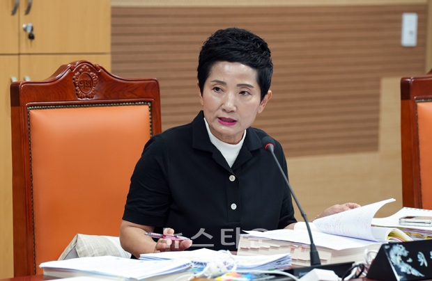 문화환경위원회 행정사무감사 이기애 의원