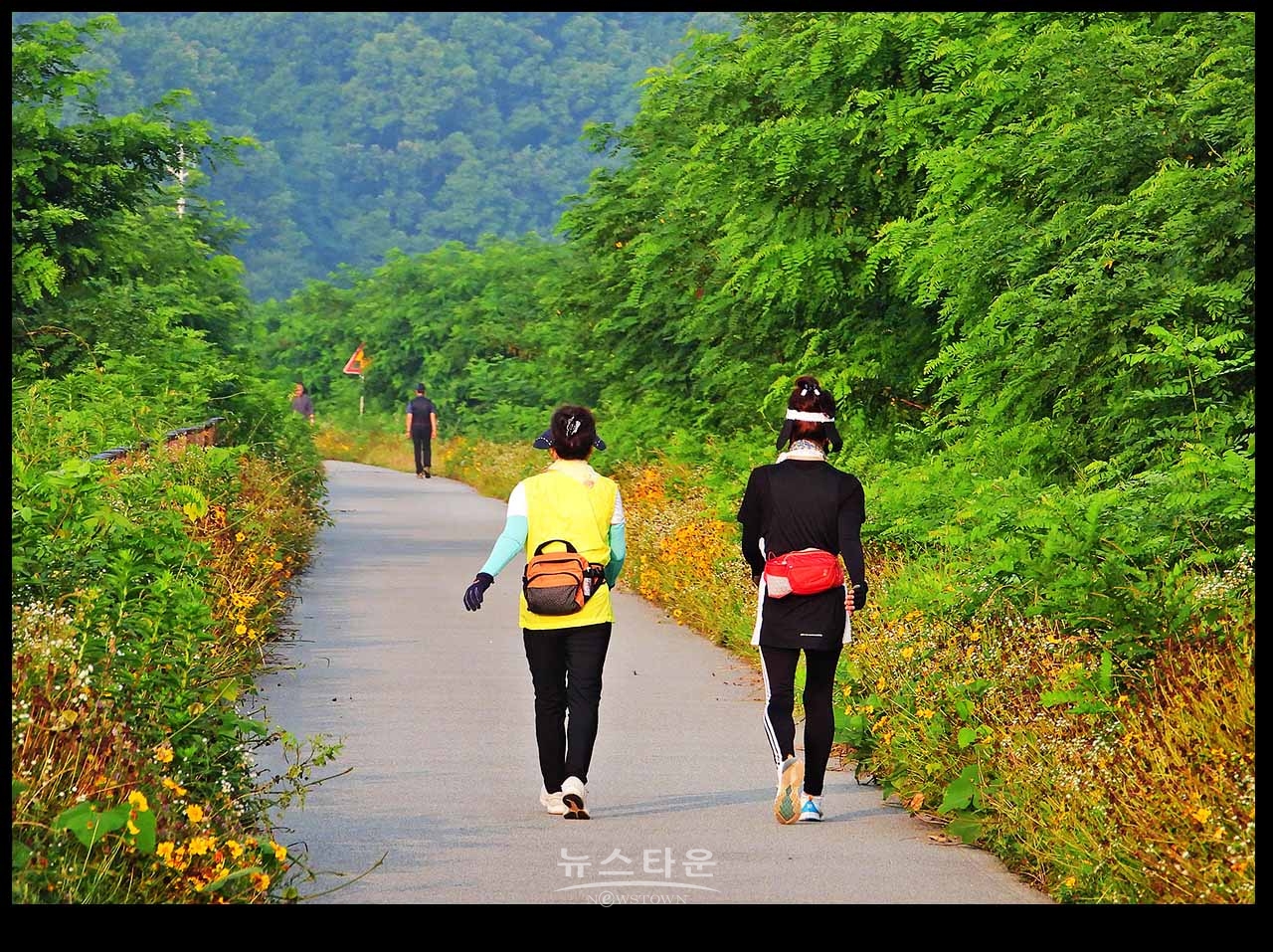 아침산책길에 만나는 사물과 풍경(230704)