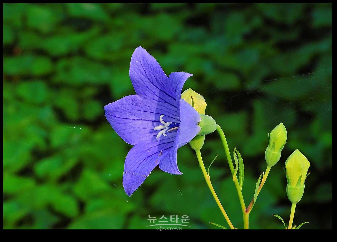 아침산책길에 만나는 사물과 풍경(230704)
