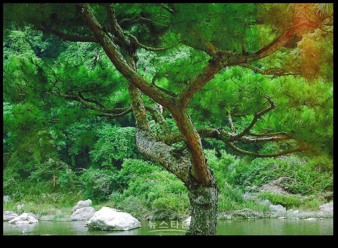 아침산책길에 만나는 사물과 풍경(230704)