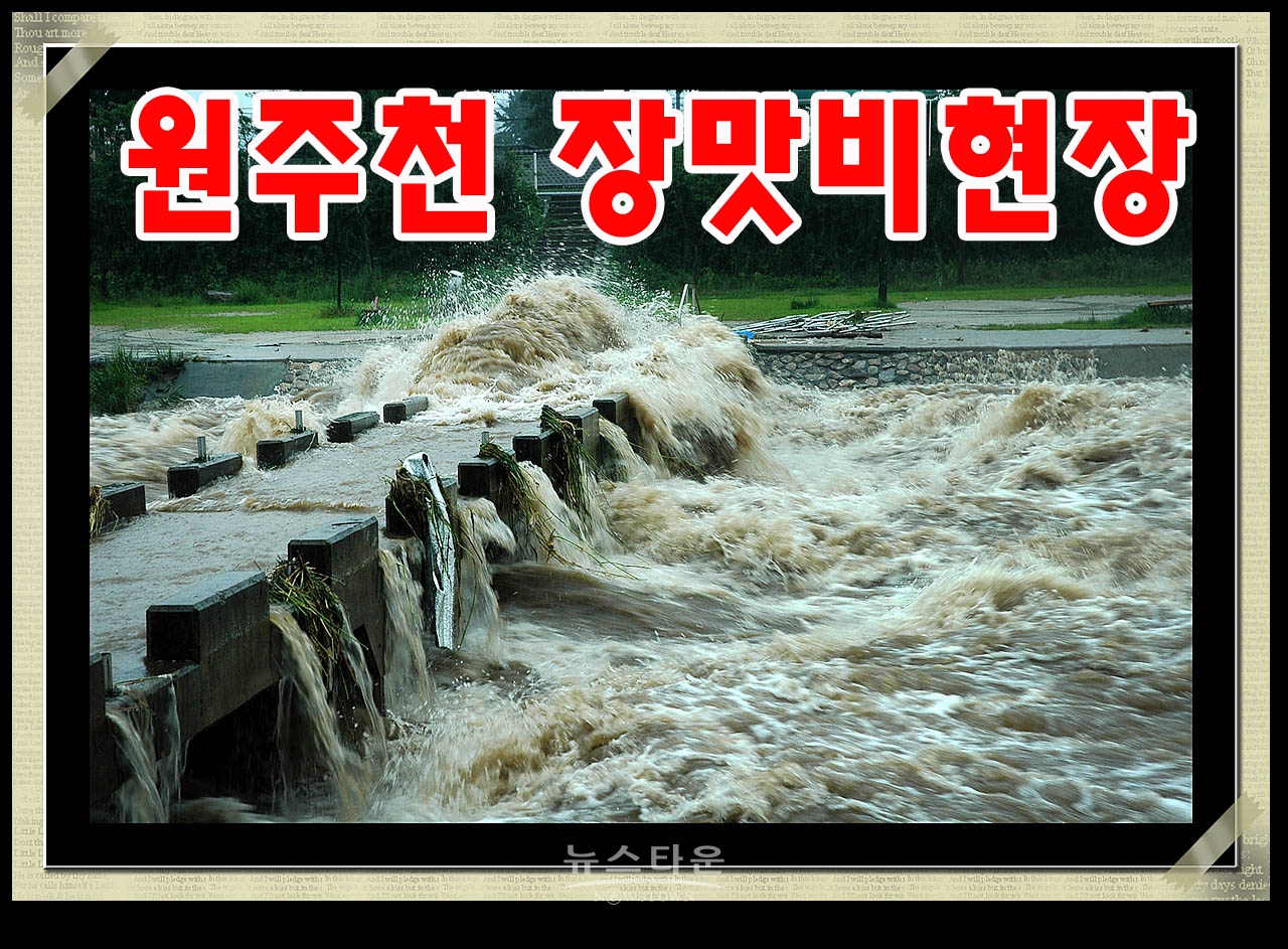 산책 중에 찍은 풍경사진(2006년 7월 16일)