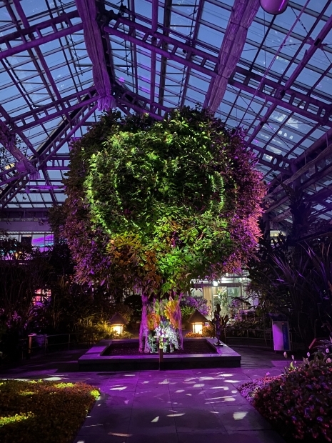 식물원 2관 야간 미디어쇼