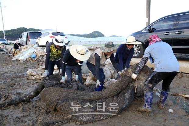 청양군의회 수해복구 작업