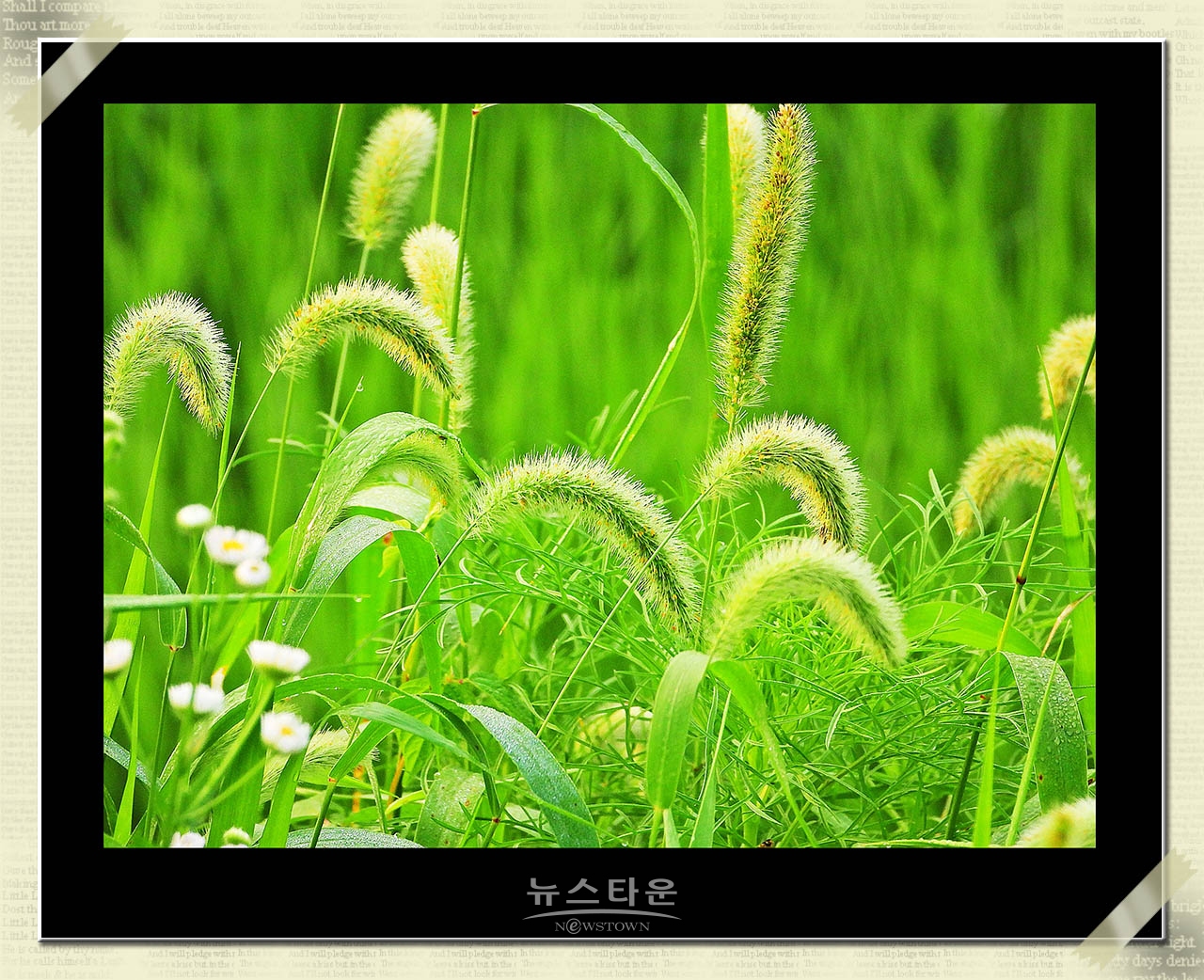 신록을 보다