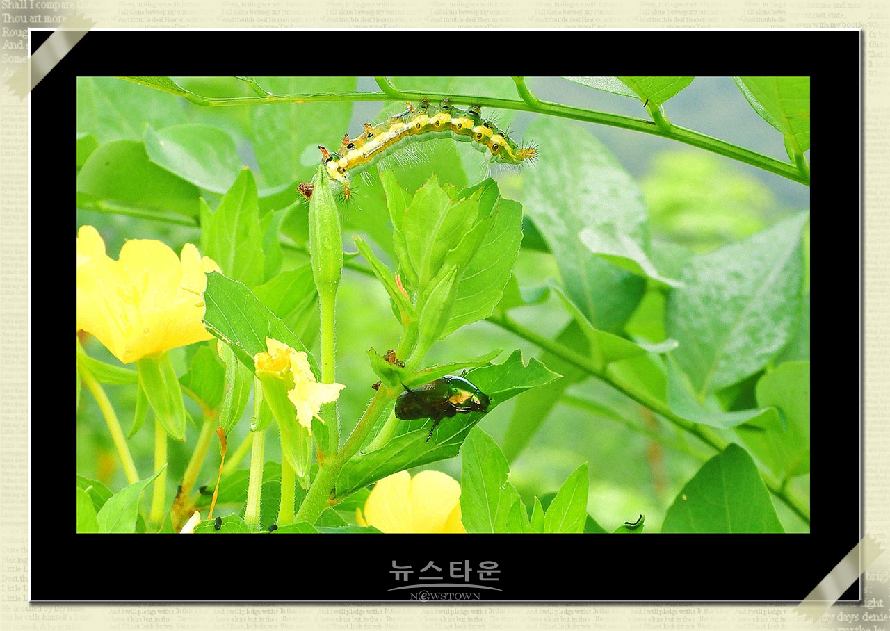 신록을 보다