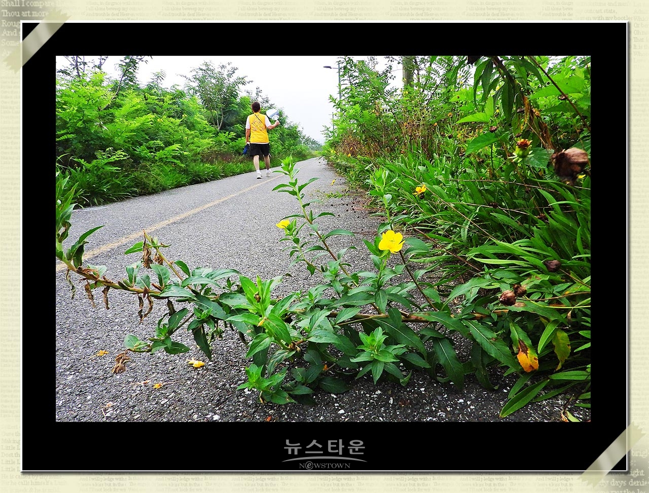 신록을 보다