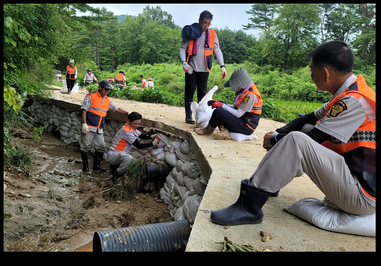 사진 : 홍천소방서 의용소방대연합회 제공