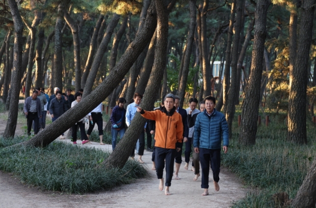 이강덕 포항시장은 23일 송도 솔밭에서 4급 이상 간부공무원과 함께 맨발로 걸으며 시정 현안과 관련한 소통 회의를 진행했다.