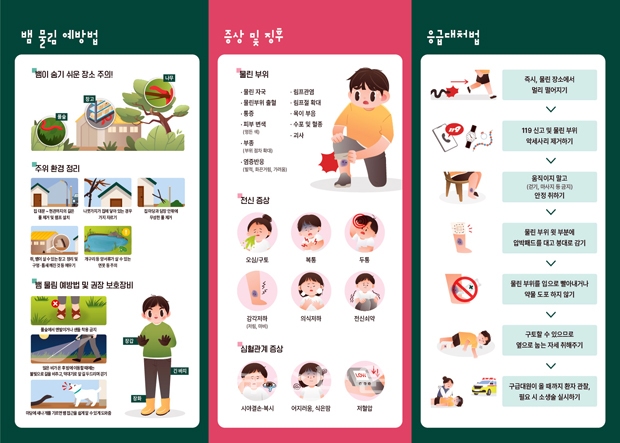 뱀 물림 사고 올바른 대처 방법