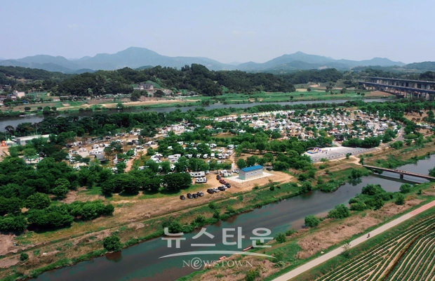 충주 목계솔밭캠핑장